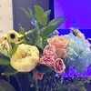 butterflygram
